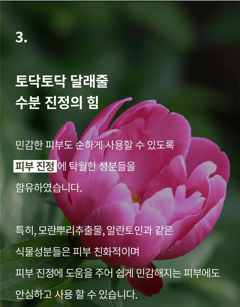 [수분광콜라겐팩/화해1위] 에스네이처 수퍼 아쿠아겔 오아시스 앰플 마스크 10매 상세페이지 21